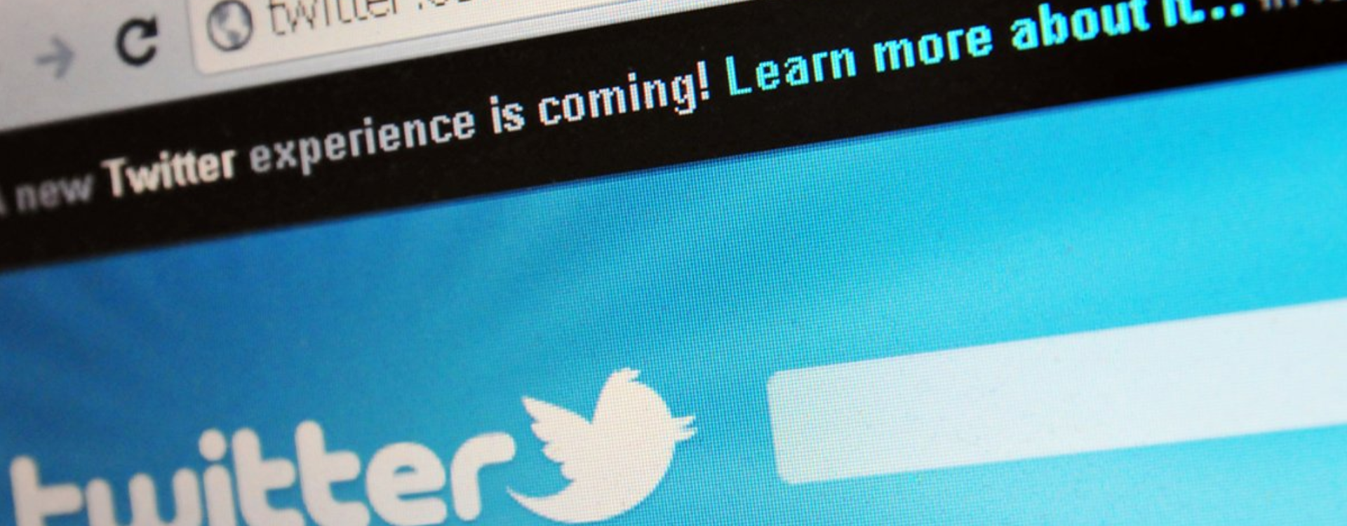 Untitled design (11)